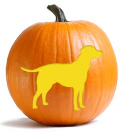 does pure pumpkin help dog diarrhea